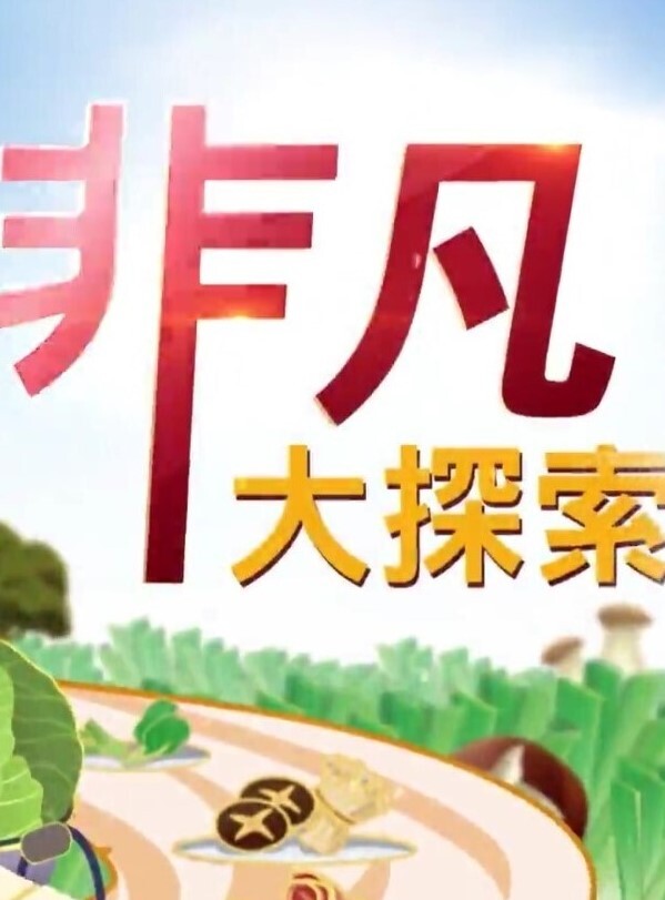 P站精选不传之秘黑丝家教老师真人启蒙性教育请在我的身体里射精 - JK色